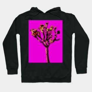 joshua tree Hoodie